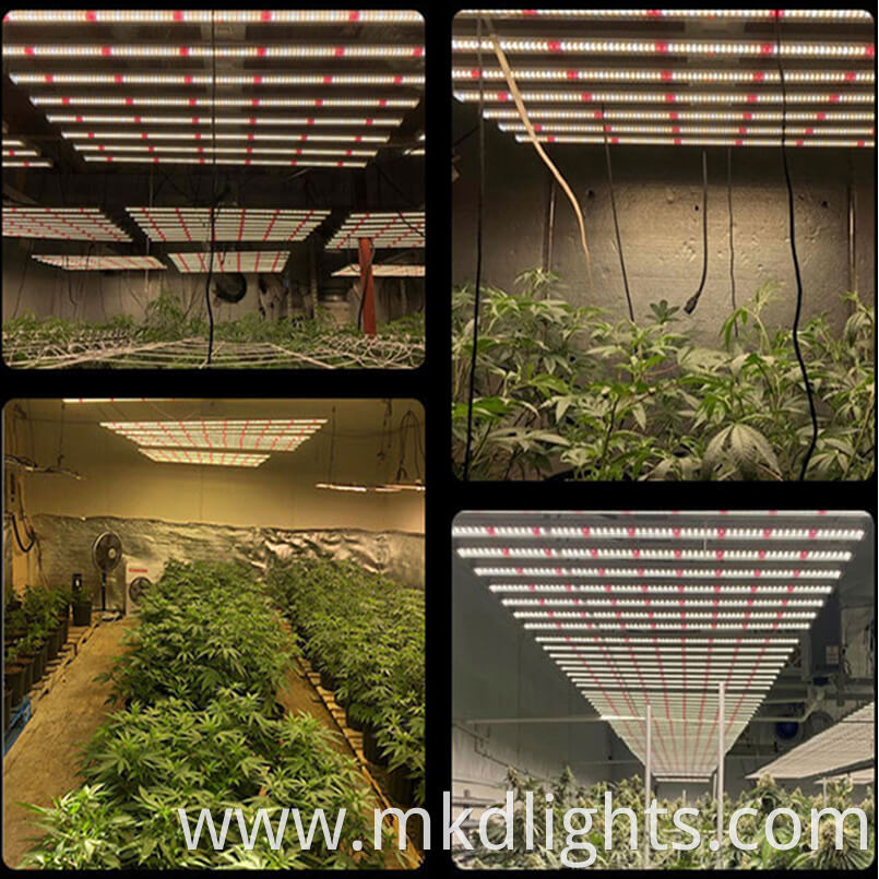 Grow Light Master Control